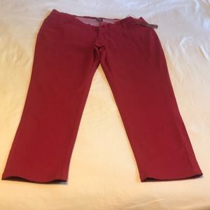 1826 Jeans Maroon Jeggings
